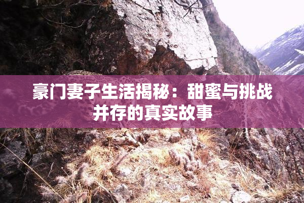 豪门妻子生活揭秘：甜蜜与挑战并存的真实故事