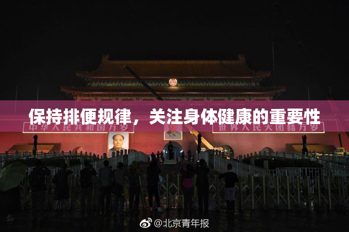 保持排便规律，关注身体健康的重要性