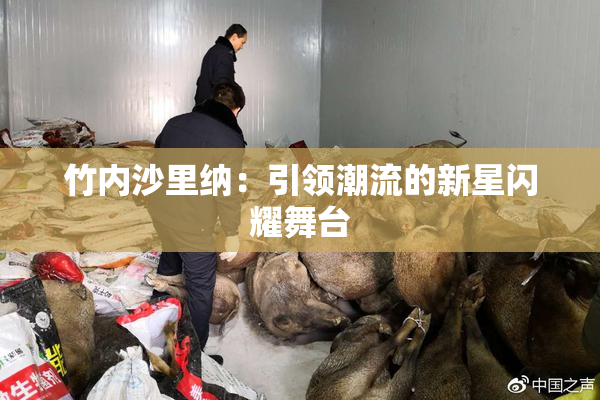 竹内沙里纳：引领潮流的新星闪耀舞台