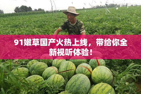 91嫩草国产火热上线，带给你全新视听体验！