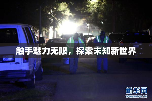 触手魅力无限，探索未知新世界