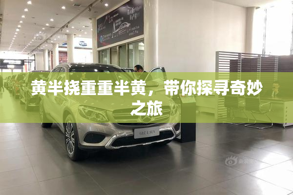 黄半挠重重半黄，带你探寻奇妙之旅