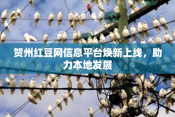 贺州红豆网信息平台焕新上线，助力本地发展