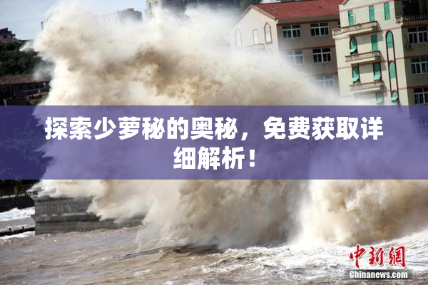 探索少萝秘的奥秘，免费获取详细解析！