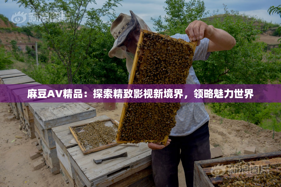 麻豆AV精品：探索精致影视新境界，领略魅力世界