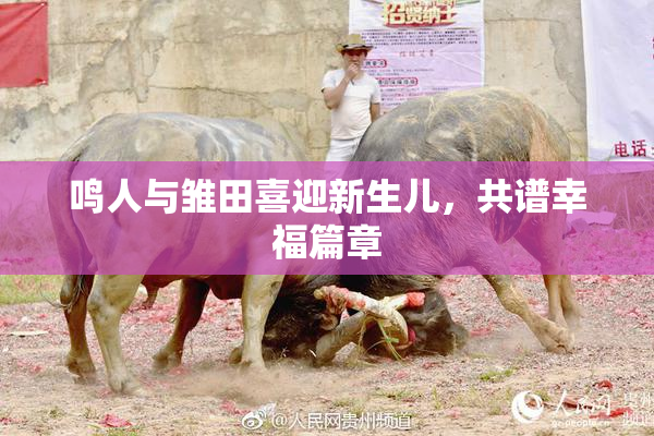 鸣人与雏田喜迎新生儿，共谱幸福篇章