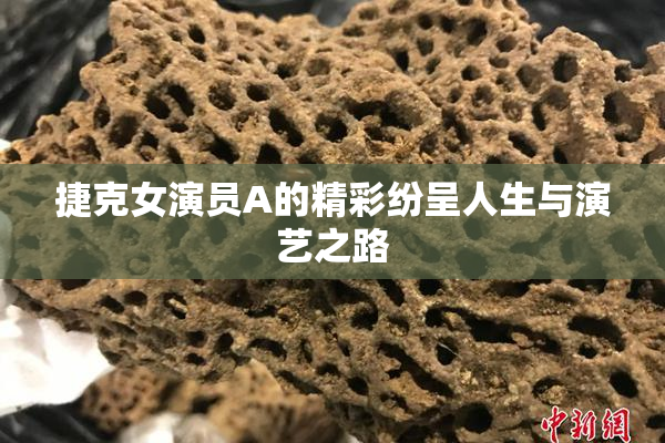 捷克女演员A的精彩纷呈人生与演艺之路
