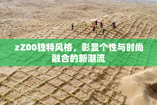 zZ00独特风格，彰显个性与时尚融合的新潮流