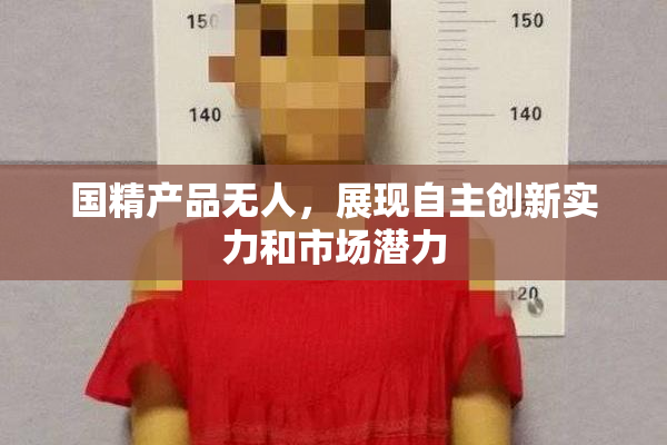 国精产品无人，展现自主创新实力和市场潜力