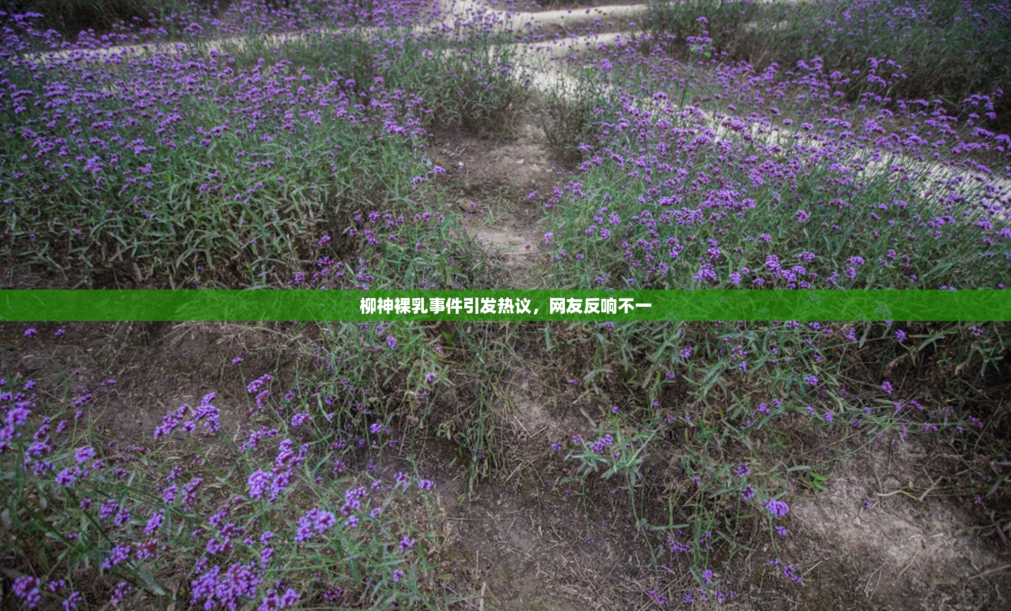 柳神裸乳事件引发热议，网友反响不一