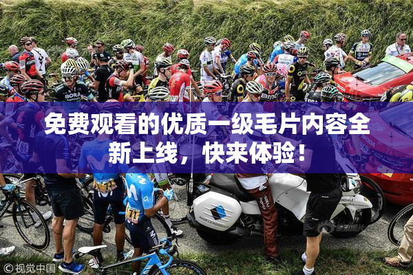 免费观看的优质一级毛片内容全新上线，快来体验！