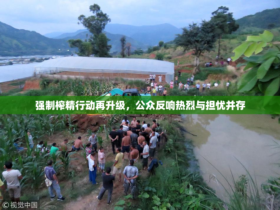 强制榨精行动再升级，公众反响热烈与担忧并存