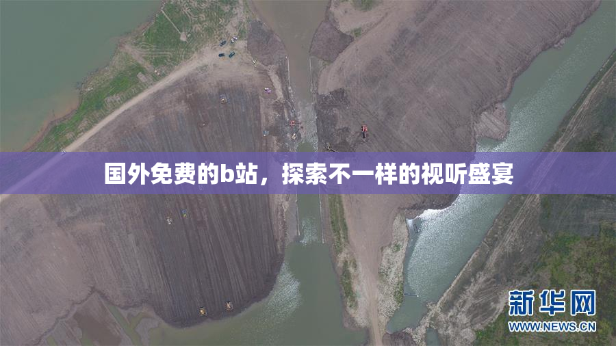 国外免费的b站，探索不一样的视听盛宴