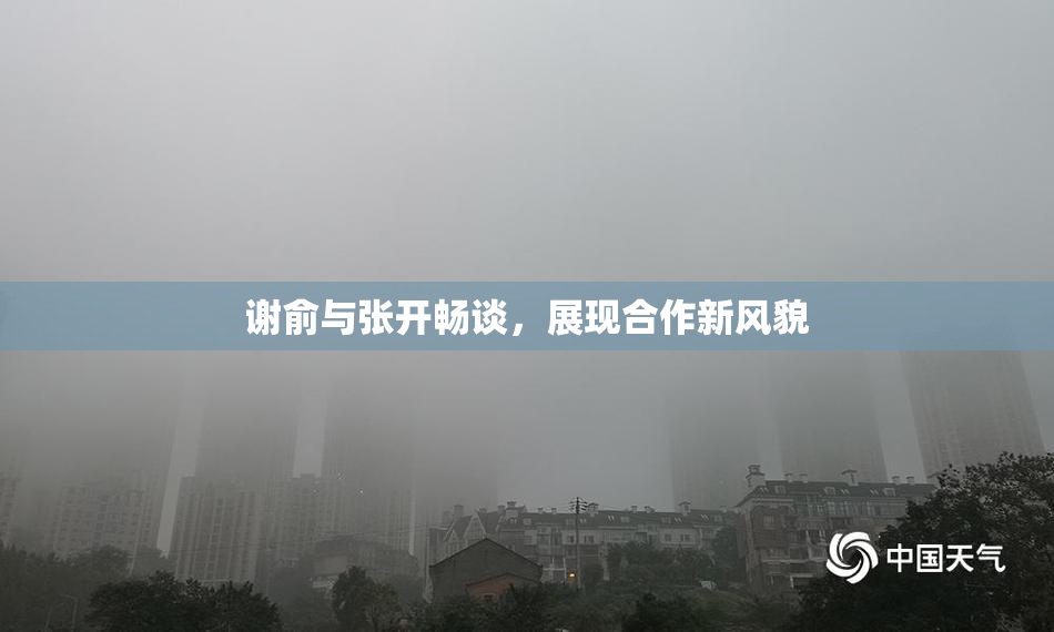 谢俞与张开畅谈，展现合作新风貌