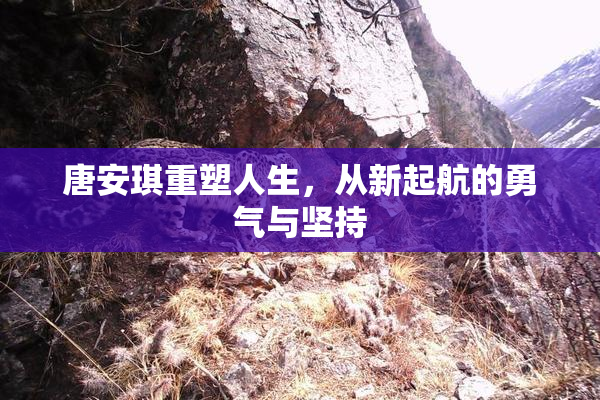 唐安琪重塑人生，从新起航的勇气与坚持