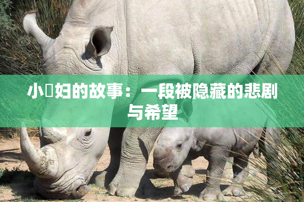 小婬妇的故事：一段被隐藏的悲剧与希望