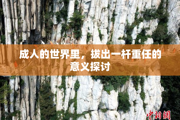 成人的世界里，拔出一杆重任的意义探讨