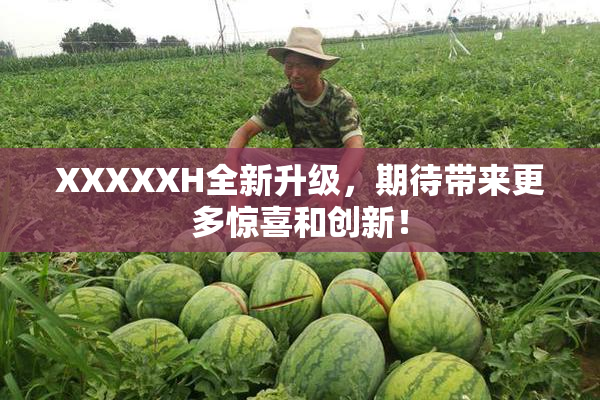 XXXXXH全新升级，期待带来更多惊喜和创新！