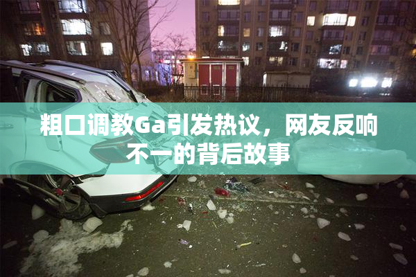 粗口调教Ga引发热议，网友反响不一的背后故事