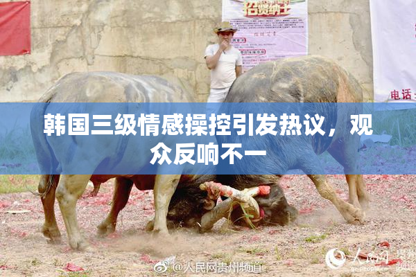 韩国三级情感操控引发热议，观众反响不一