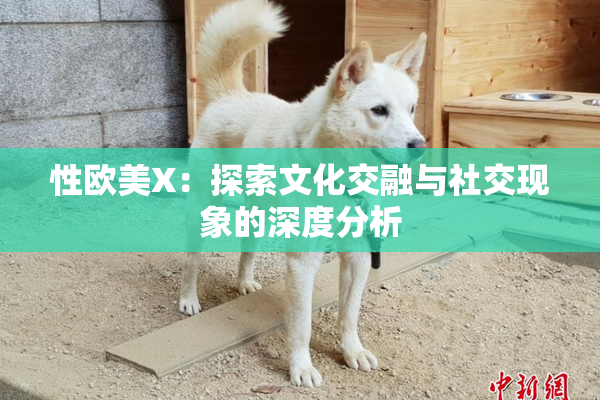性欧美X：探索文化交融与社交现象的深度分析