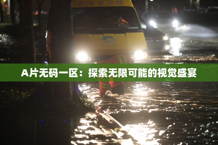A片无码一区：探索无限可能的视觉盛宴