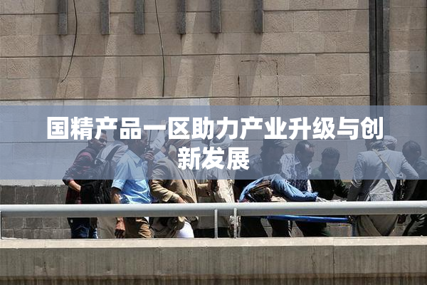 国精产品一区助力产业升级与创新发展