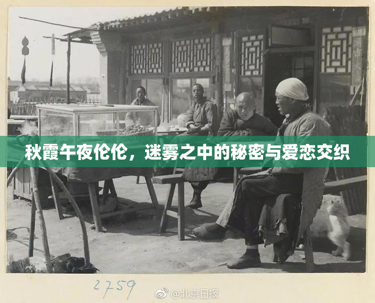 秋霞午夜伦伦，迷雾之中的秘密与爱恋交织