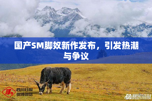 国产SM脚奴新作发布，引发热潮与争议