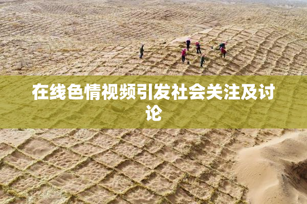 在线色情视频引发社会关注及讨论
