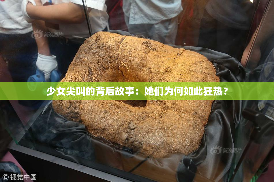 少女尖叫的背后故事：她们为何如此狂热？