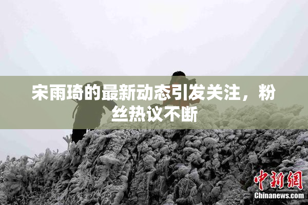 宋雨琦的最新动态引发关注，粉丝热议不断