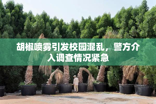 胡椒喷雾引发校园混乱，警方介入调查情况紧急