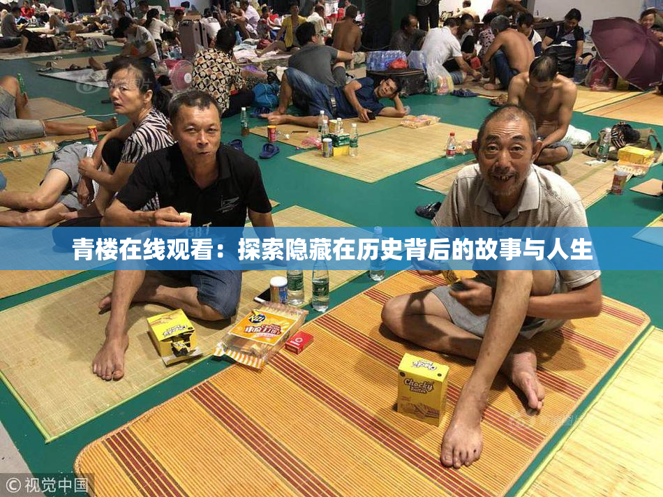 青楼在线观看：探索隐藏在历史背后的故事与人生