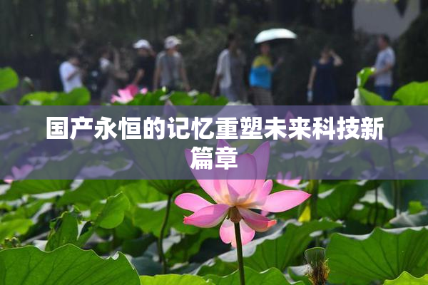 国产永恒的记忆重塑未来科技新篇章