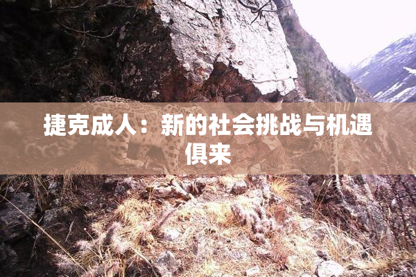 捷克成人：新的社会挑战与机遇俱来