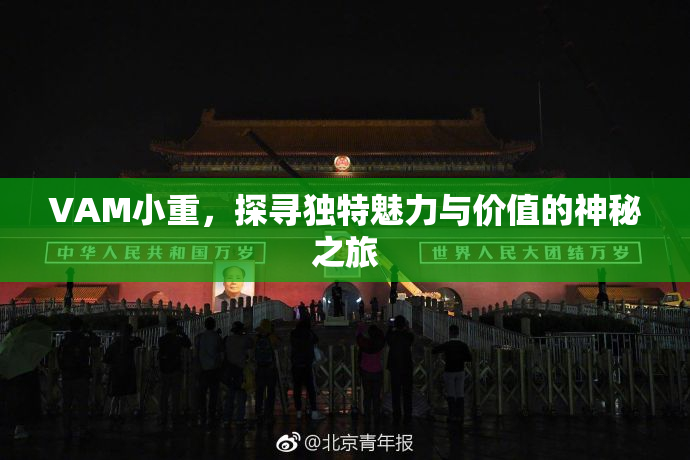 VAM小重，探寻独特魅力与价值的神秘之旅