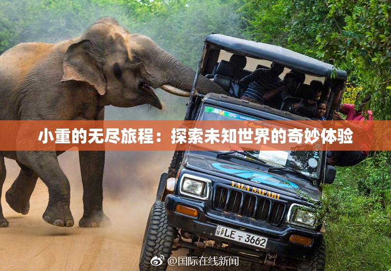小重的无尽旅程：探索未知世界的奇妙体验