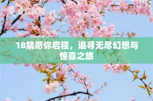 18禁愿你启程，追寻无尽幻想与惊喜之旅