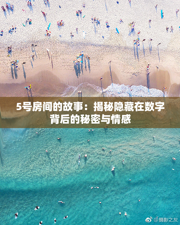 5号房间的故事：揭秘隐藏在数字背后的秘密与情感