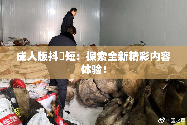 成人版抖抈短：探索全新精彩内容体验！