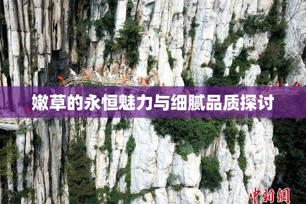 嫩草的永恒魅力与细腻品质探讨
