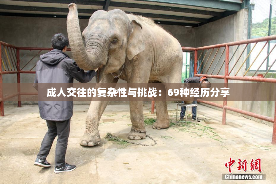 成人交往的复杂性与挑战：69种经历分享