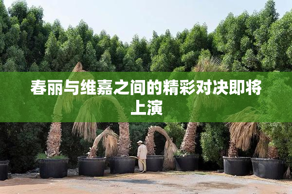 春丽与维嘉之间的精彩对决即将上演