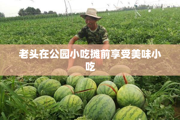老头在公园小吃摊前享受美味小吃