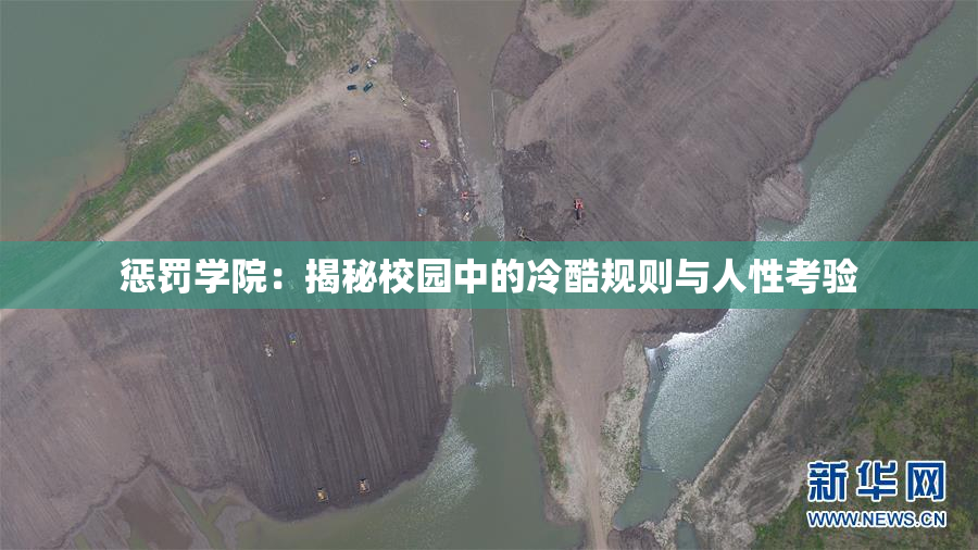 惩罚学院：揭秘校园中的冷酷规则与人性考验
