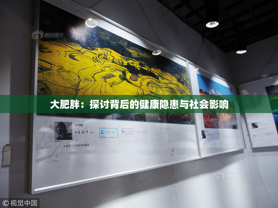 大肥胖：探讨背后的健康隐患与社会影响