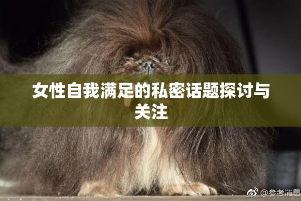 女性自我满足的私密话题探讨与关注