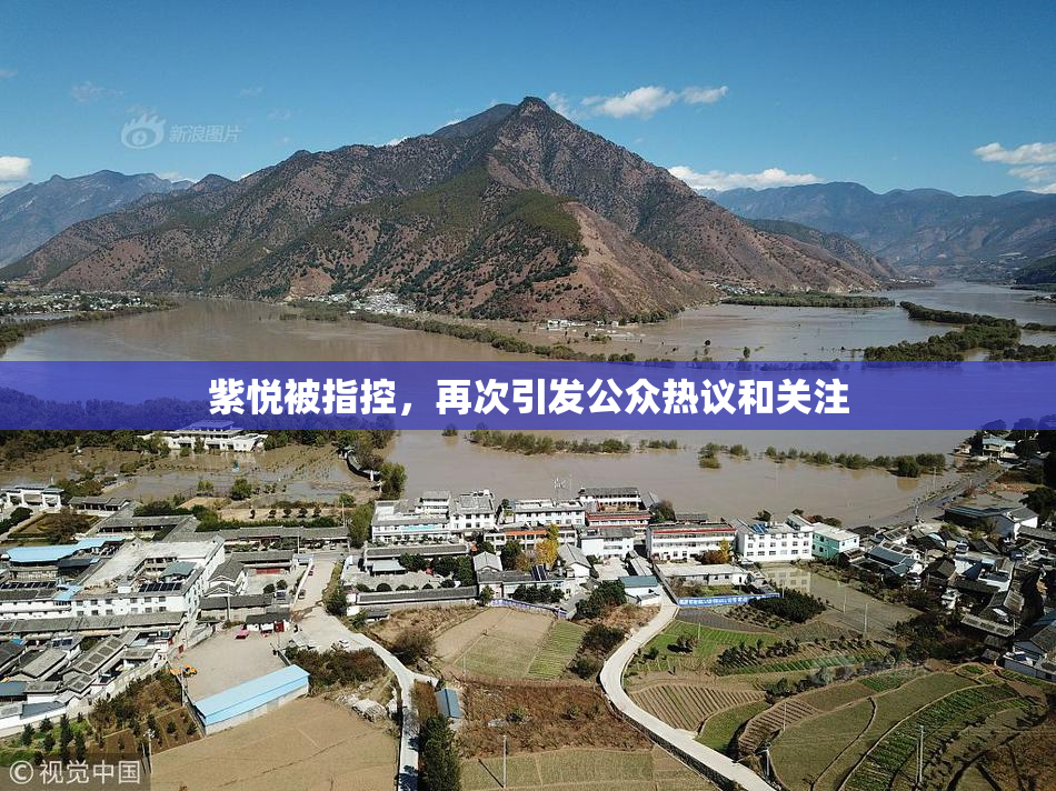 紫悦被指控，再次引发公众热议和关注
