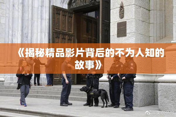 《揭秘精品影片背后的不为人知的故事》